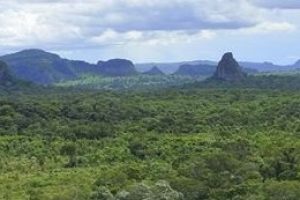Disminuye inversión global en ER, ejemplo de políticas cero emisión, mega olas de calor, y distribuidoras e incendios forestales