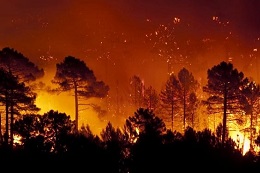 En este momento estás viendo Incendios forestales y emisiones de gases de efecto invernadero